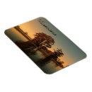 Recherche de cypr magnets Marais