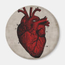 Recherche de anatomie humaine magnets Amour