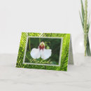 Search for mahalo cards Floral