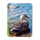 Recherche de ondulation magnets Pour tous