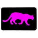 Search for puma magnets Mountain lion