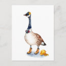 Search for handyman postcards Craftsman