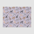 Search for paw print tissue paper Pets