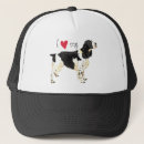 Search for spaniel hats Springer