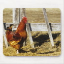 Search for chuck standard mousepads Farming