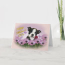 Search for boston terrier mothers day cards Mom