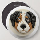 Recherche de chiens de berger australiens badges Amoureux des chiens