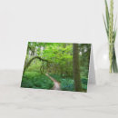 Search for ancients cards Nature