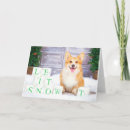 Search for welsh christmas cards Puppy