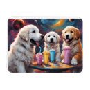 Recherche de pyrénées magnets Chien