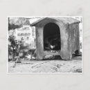Recherche de monochrome cartes postales Chat