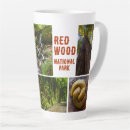 Search for redwood mugs Nature