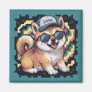 Search for inus magnets Dog