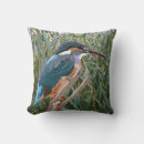 Search for kingfisher pillows Colourful