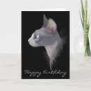 Search for sphynx cards Illustration