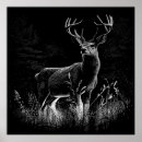 Search for deer antler art Nature