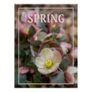 Recherche de lentille posters Fleur