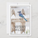 Search for blue jay cards Winter
