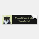 Search for tuxedo bumper stickers Kitten