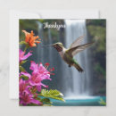 Search for hummingbird cards Wildlife