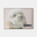 Recherche de mignon de griffonnage Chien