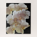 Search for orchid puzzles Floral