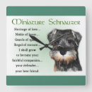 Search for schnauzer clocks Pets