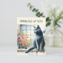 Recherche de chats bleus cartes postales Mignon