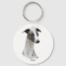 Search for purebreed accessories Canine