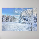 Search for winter scene posters Pines
