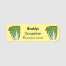 Search for cabbage office supplies Vegetable