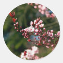 Search for cherry tree blossoms stickers Modern