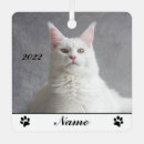 Search for long haired cat ornaments Pet