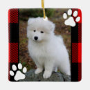 Recherche de buffalo ornements Chien