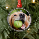 Search for tennis balls ornaments Puppy
