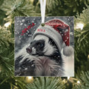 Search for skunk ornaments Funny