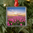Search for holland ornaments Netherlands