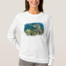 Search for mydas tshirts Hawaii