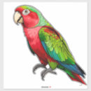 Recherche de perroquet rouge autocollants Faune