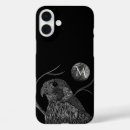Recherche de faucon coques Rapace