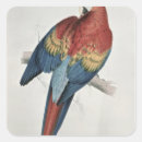 Search for red macaw stickers Blue