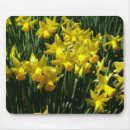 Search for cheery mousepads Yellow