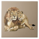 Recherche de famille de chat carreaux Chats