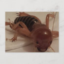 Search for bugs postcards Funny
