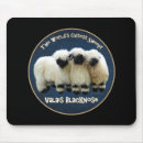 Recherche de moutons mignons tapis souris Pour tous