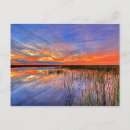 Search for everglade state postcards United states