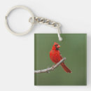 Recherche de cardinal rouge porteclés Faune