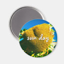 Search for sunflower magnets Yellow