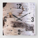 Search for birch tree photography Bark