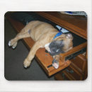 Search for dog sleeping mousepads Pet